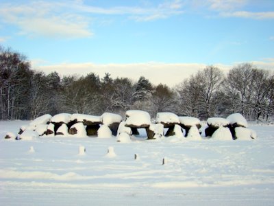 Havelte sneeuw 008 (28K)